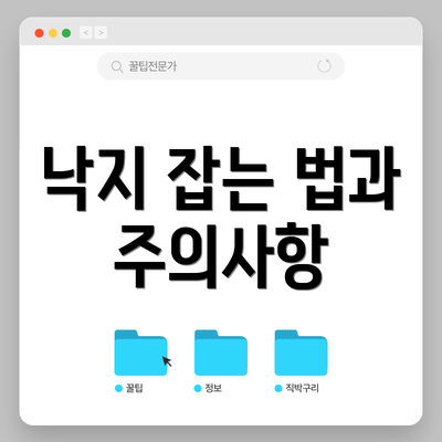 낙지 잡는 법과 주의사항