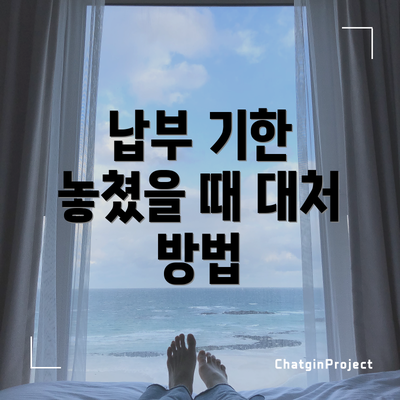 납부 기한 놓쳤을 때 대처 방법