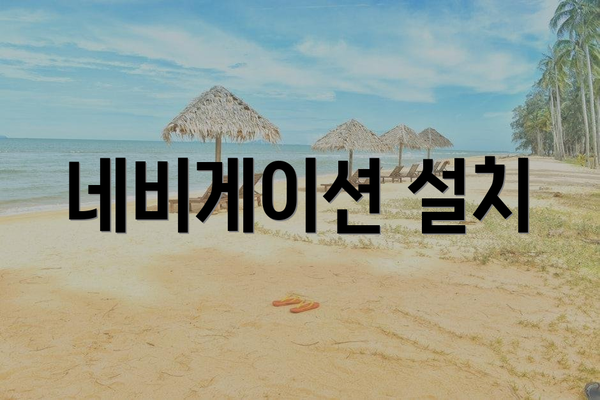 네비게이션 설치