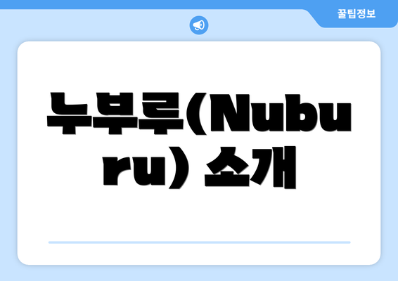 누부루(Nuburu) 소개