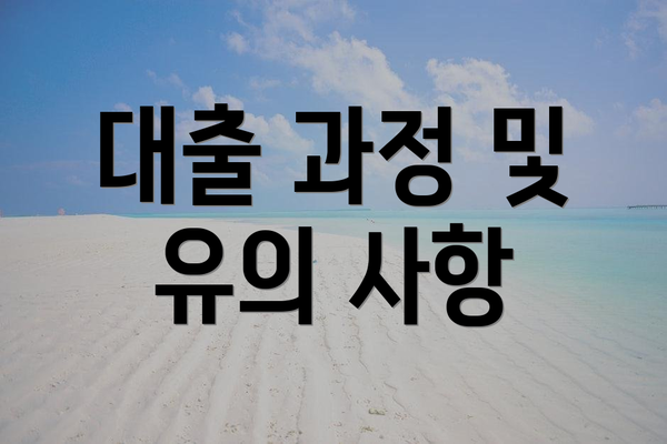 대출 과정 및 유의 사항