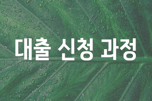 대출 신청 과정