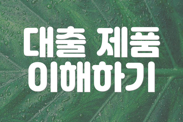 대출 제품 이해하기