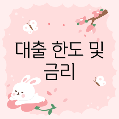 대출 한도 및 금리