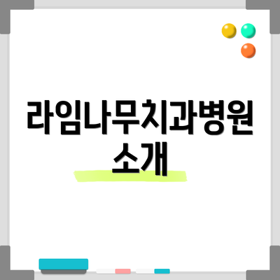라임나무치과병원 소개
