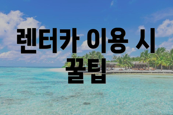 렌터카 이용 시 꿀팁