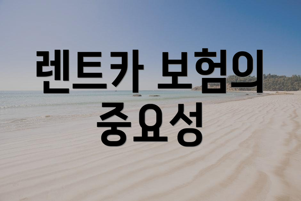 렌트카 보험의 중요성