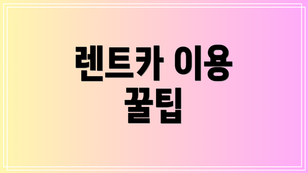 렌트카 이용 꿀팁