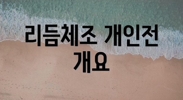 리듬체조 개인전 개요