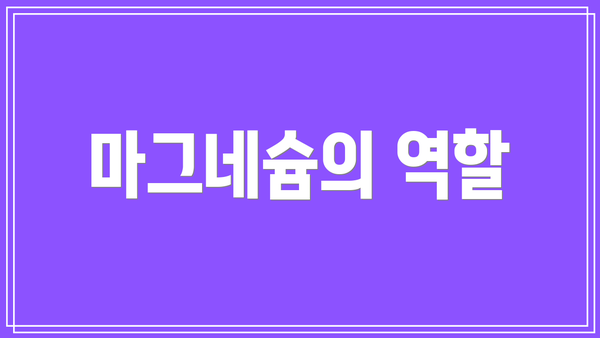 마그네슘의 역할