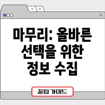 마무리: 올바른 선택을 위한 정보 수집