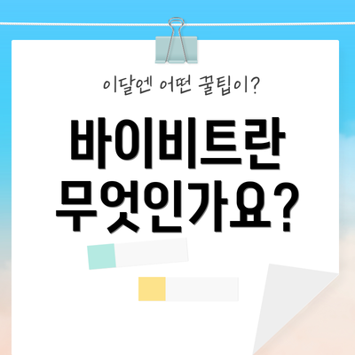 바이비트란 무엇인가요?