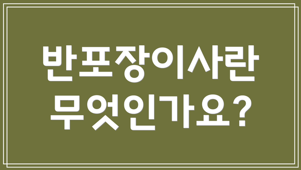 반포장이사란 무엇인가요?