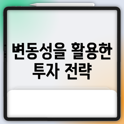 변동성을 활용한 투자 전략