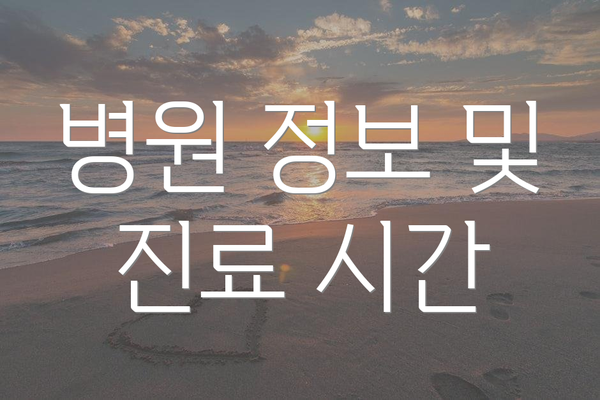 병원 정보 및 진료 시간