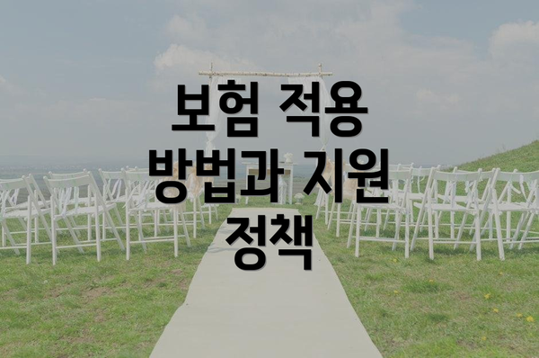 보험 적용 방법과 지원 정책