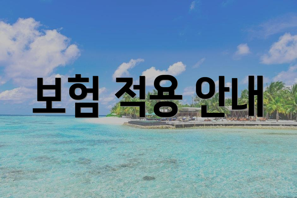 보험 적용 안내