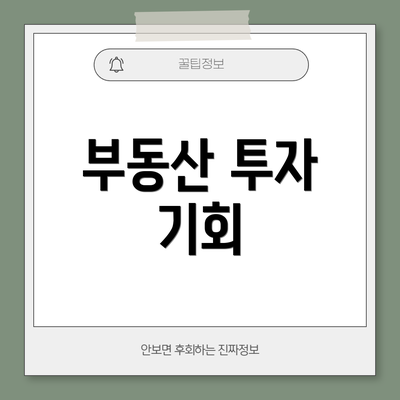 부동산 투자 기회