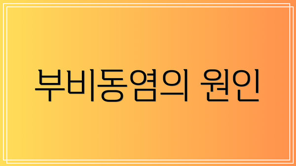 부비동염의 원인