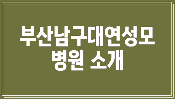 부산남구대연성모병원 소개