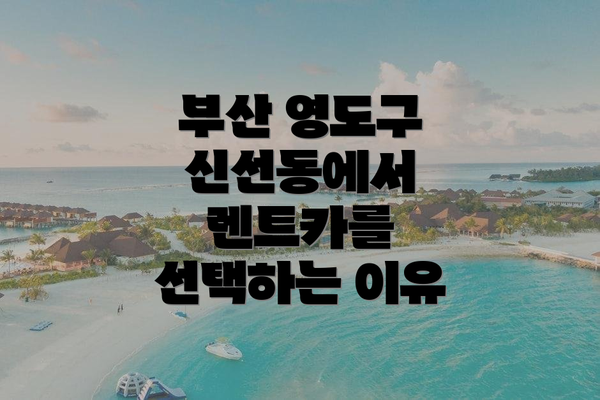 부산 영도구 신선동에서 렌트카를 선택하는 이유