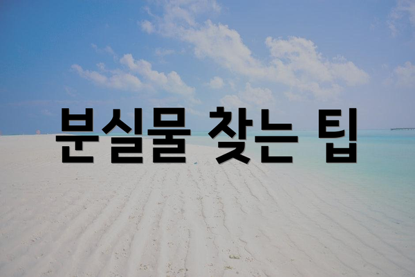 분실물 찾는 팁