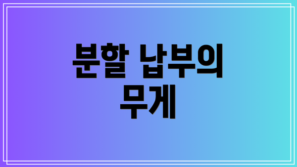 분할 납부의 무게