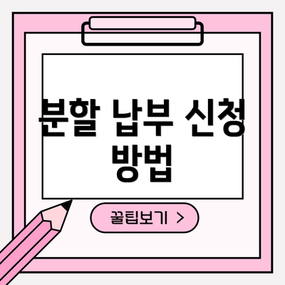 분할 납부 신청 방법