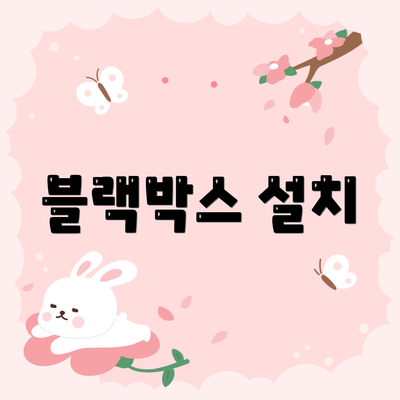 블랙박스 설치