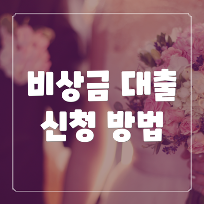 비상금 대출 신청 방법