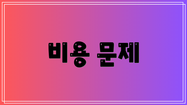 비용 문제
