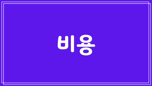 비용