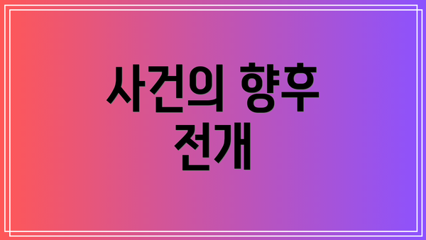 사건의 향후 전개