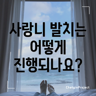 사랑니 발치는 어떻게 진행되나요?