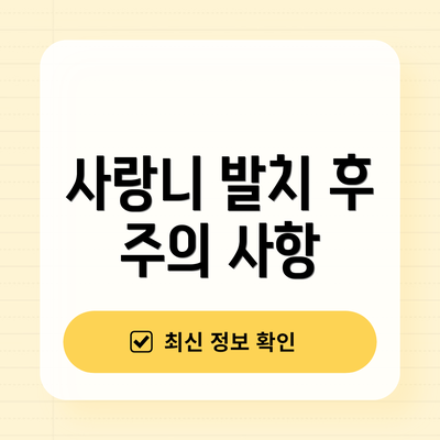 사랑니 발치 후 주의 사항