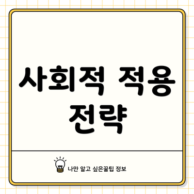 사회적 적용 전략