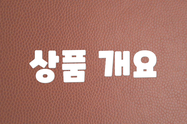 상품 개요