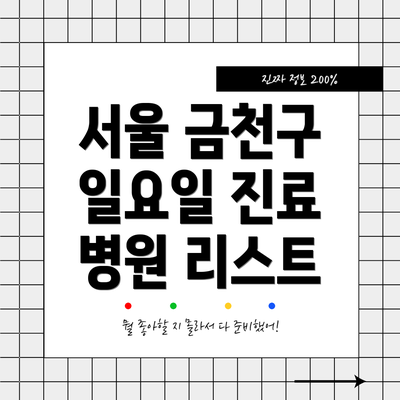 서울 금천구 일요일 진료 병원 리스트