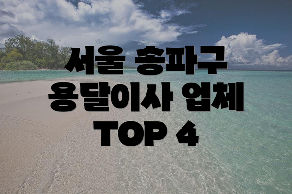 서울 송파구 용달이사 업체 TOP 4