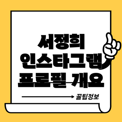 서정희 인스타그램 프로필 개요