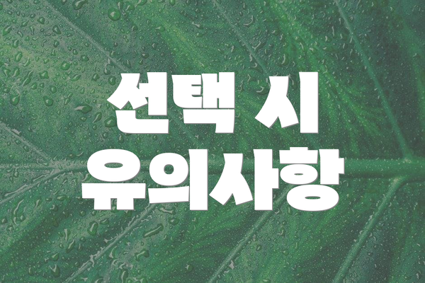 선택 시 유의사항