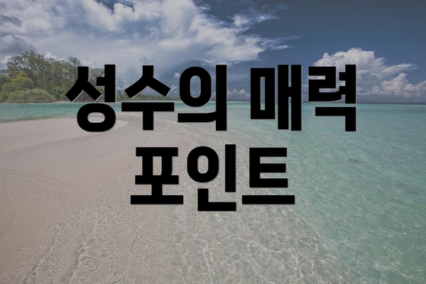 성수의 매력 포인트