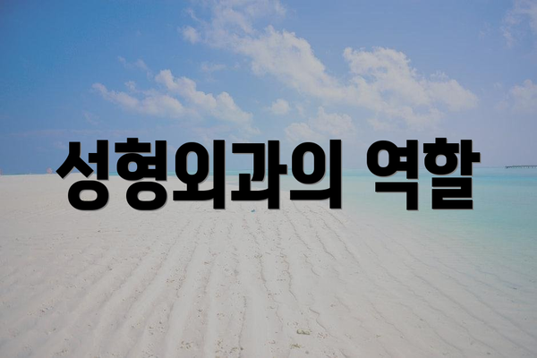 성형외과의 역할
