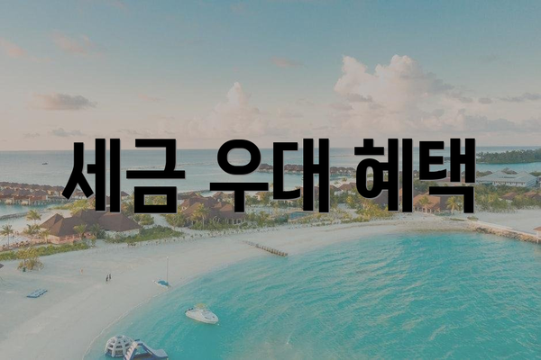 세금 우대 혜택