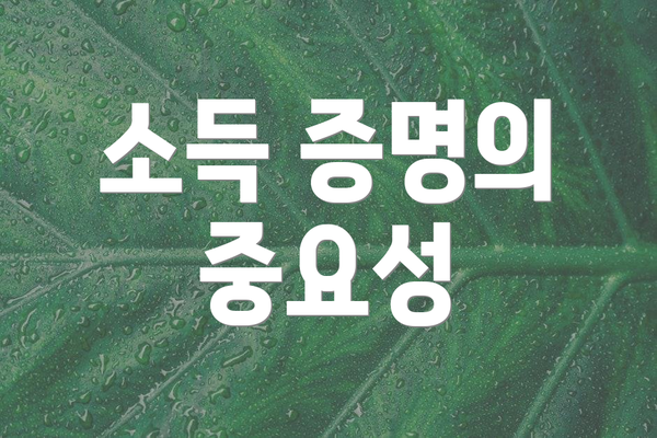 소득 증명의 중요성