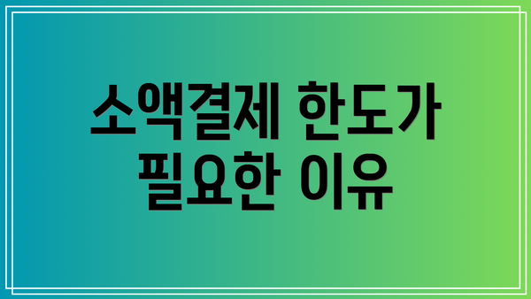 소액결제 한도가 필요한 이유