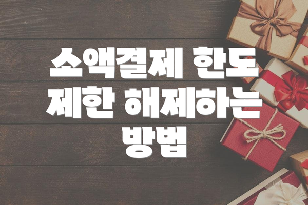 소액결제 한도 제한 해제하는 방법
