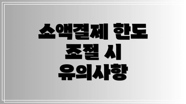 소액결제 한도 조절 시 유의사항