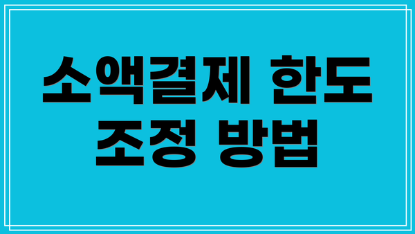 소액결제 한도 조정 방법