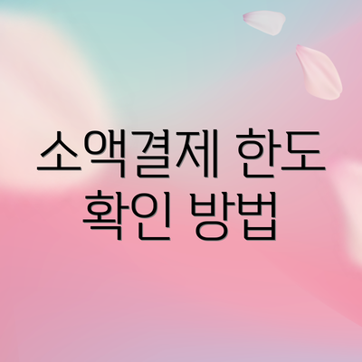소액결제 한도 확인 방법